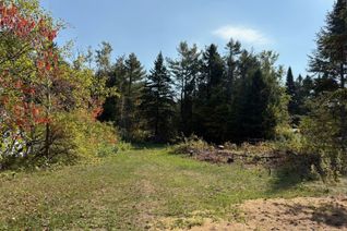 Property for Sale, 0 The Avenue N/A, Kawartha Lakes, ON