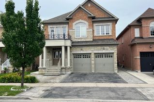 Apartment for Sale, 19 Antorisa Ave E #BSMT, Vaughan, ON Apartment for Sale, 19 Antorisa Ave E #BSMT, Vaughan, ON
