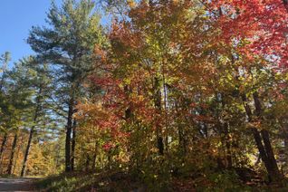 Vacant Residential Land for Sale, N/A Twin Sister Lakes Rd, Marmora and Lake, ON