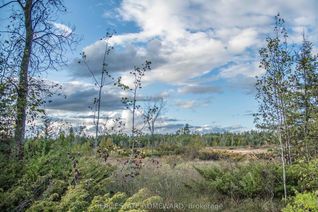 Vacant Residential Land for Sale, Lot 254 McGuire Beach Rd, Kawartha Lakes, ON