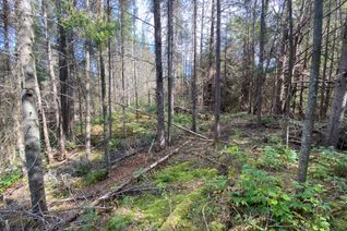 Land for Sale, 0 Municipal Rd N, Machar, ON Land for Sale, 0 Municipal Rd N, Machar, ON