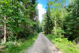 Vacant Residential Land for Sale, 0 N Conc. RD 10 and 11 Concession N, Parry Sound Remote Area, ON