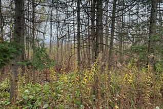 Vacant Residential Land for Sale, 0 Taylorwoods Blvd, Innisfil, ON