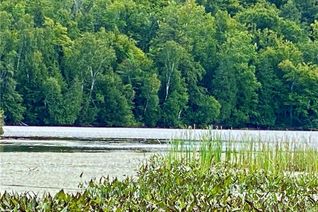 Vacant Residential Land for Sale, 151 MAPLE Dr, Parry Sound Remote Area, ON