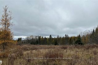 Property for Sale, LOT 3 HILL AND GULLY Rd, Ryerson, ON Property for Sale, LOT 3 HILL AND GULLY Rd, Ryerson, ON