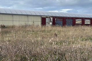 Commercial Farm for Sale, 248, 271 County Rd 20 Rd, Prince Edward County, ON