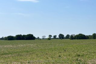 Commercial Farm for Sale, 0 Downie Rd, Dawn-Euphemia, ON
