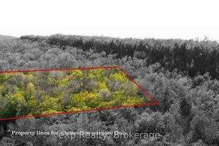 Vacant Residential Land for Sale, Lot 202 - 203 9th Ave, South Bruce Peninsula, ON
