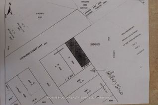 Land for Sale, 117 Colborne St E, Orillia, ON