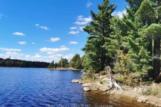 Property for Sale, 157 Lake Vision Rd, McMurrich/Monteith, ON