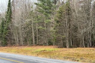 Property for Sale, LOTS 1, 2 & 3 HIGHWAY 518 W N/A, McMurrich/Monteith, ON Property for Sale, LOTS 1, 2 & 3 HIGHWAY 518 W N/A, McMurrich/Monteith, ON