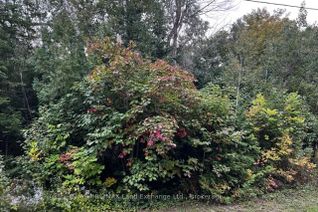 Vacant Residential Land for Sale, 5 SHORE Rd, Saugeen Shores, ON