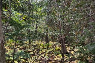 Vacant Residential Land for Sale, 6 SHORE Rd, Saugeen Shores, ON